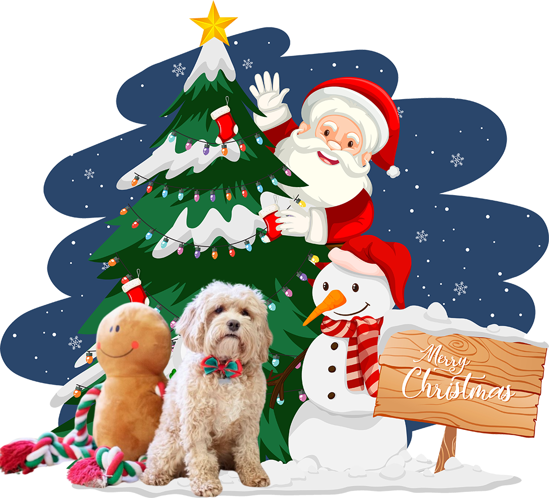 Snuggby Christmas Pet Gifts